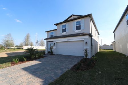 New construction Single-Family house 38350 Tobiano Loop, Dade City, FL 33525 Cabo- photo 146 146