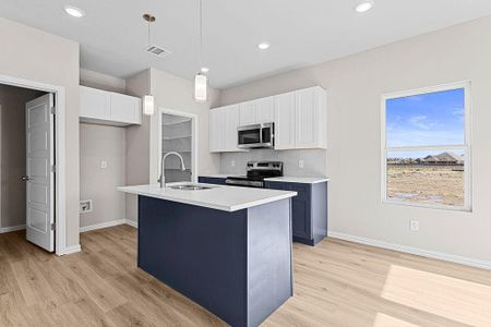 New construction Single-Family house 209 Lead Creek Dr, Fort Worth, TX 76131 - image 8