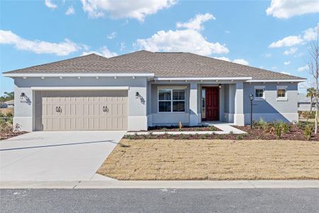 New construction Single-Family house 9936 Sw 106Th Cir, Ocala, FL 34481 plan Livingston - image