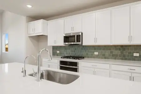 New construction Single-Family house 160 Ranier Wy, Dripping Springs, TX 78620 plan Granbury - image 5