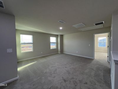 New construction Single-Family house 38 Hoff Ct, Angier, NC 27501 plan Johnson - image 14