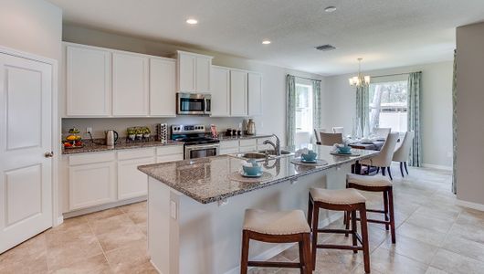 Solera at Lakewood Ranch by D.R. Horton in Lakewood Ranch - photo 43 43