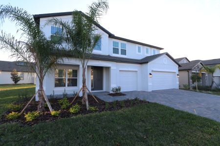 New construction Single-Family house 3063 King Fern Dr, Wimauma, FL 33598 Dali- photo 165 165