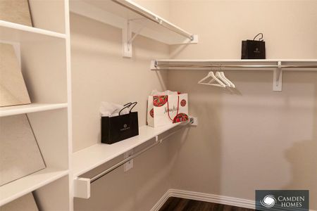 Spacious closet with dark wood-type flooring