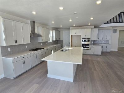 New construction Single-Family house 1658 Fox Trotter Pt, Castle Rock, CO 80104 Keystone II- photo 22 22