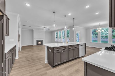 New construction Single-Family house 9164 Dupree Meadow Dr, Angier, NC 27501 plan The Hampton - image 11