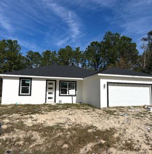 New construction Single-Family house 7604 Sw 103 Lp, Ocala, FL 34476 - image