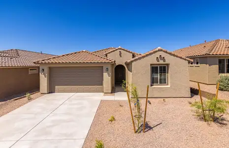 New construction Single-Family house 13385 N Sanidine Dr, Oro Valley, AZ 85755 plan Acerra - image