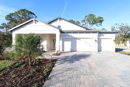 New construction Single-Family house 20219 Oriana Loop, Land O' Lakes, FL 34638 Corina  III- photo 50 50