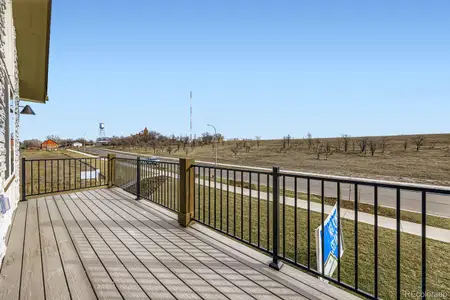 New construction Single-Family house 3864 W 82Nd Ln, Westminster, CO 80031 - image