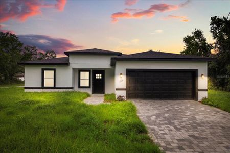 New construction Single-Family house 1716 Sw 168Th Lp, Ocala, FL 34473 - image