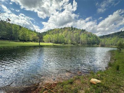 New construction Single-Family house 80 Cove View Ln, Clarkesville, GA 30523 - image 14