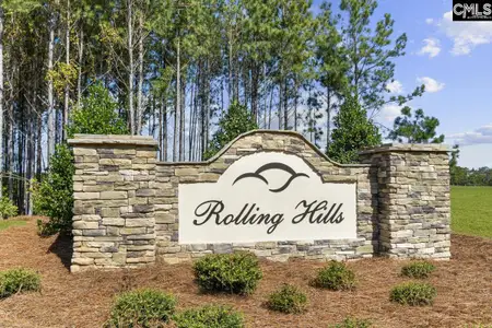 New construction Single-Family house 230 Caballeros Trl, Prosperity, SC 29127 plan Hidden Creek II - image
