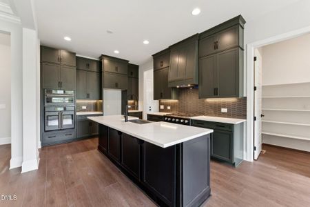 New construction Single-Family house 269 Ivy Ridge Rd, Chapel Hill, NC 27516 plan Galloway - image 14