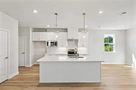 New construction Single-Family house 110 Cainwalker Rd, Huger, SC 29450 plan Barron Quick Move-In - image 5