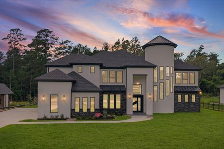 New construction Single-Family house 18556 Michaels Run, Montgomery, TX 77316 - image