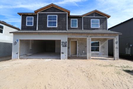 New construction Single-Family house 12168 Hilltop Farms Dr, Dade City, FL 33525 Malibu- photo 63 63