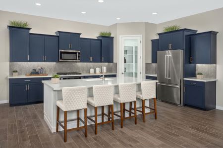 New construction Single-Family house 22846 E Firestone Dr, Queen Creek, AZ 85142 plan Dove - image 6