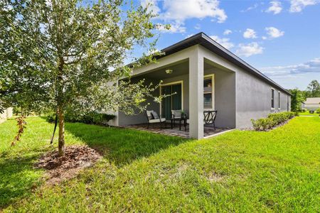 New construction Single-Family house 9967 Red Bay Lp, Land O' Lakes, FL 34637 - image