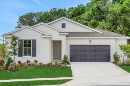 New construction Single-Family house 35229 Tuscan Hill Rd, Dade City, FL 33525 plan Ravenna - image