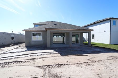 New construction Single-Family house 20050 Oriana Loop, Land O' Lakes, FL 34638 Santa Monica- photo 82 82