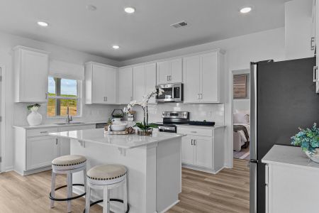 New construction Single-Family house 2560 Peaceful Valley Dr, Columbia, TN 38401 plan Columbus - image 16