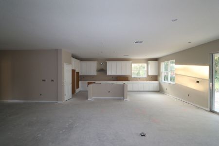 New construction Single-Family house 20219 Oriana Loop, Land O' Lakes, FL 34638 Corina  III- photo 21 21