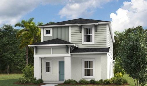 New construction Single-Family house 9149 Belleview Forest Pass, Dade City, FL 33525 - image