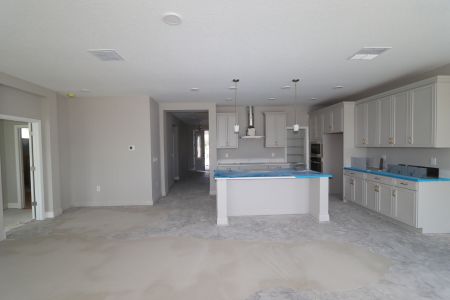 New construction Single-Family house 31236 Denham Ridge Ln, Wesley Chapel, FL 33545 Santa Monica- photo 103 103