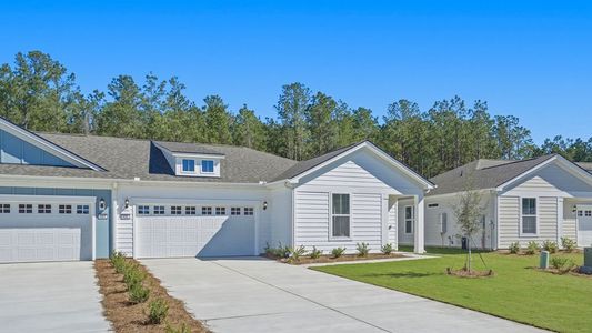 New construction Single-Family house 421 Hickory Shad Ln, Bluffton, SC 29909 plan Danbury - image