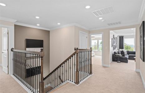 New construction Single-Family house 4116 Winding Pines Dr, Apopka, FL 32712 null- photo 19 19