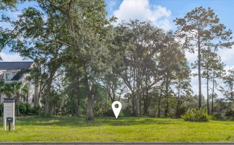 New construction Single-Family house 469 Lesesne St, Charleston, SC 29492 null- photo 12 12