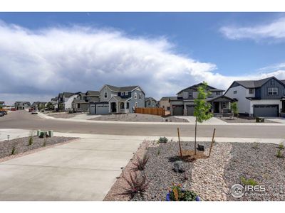 New construction Single-Family house 5530 Fleur De Lis Ln, Timnath, CO 80547 Tabor- photo 2 2