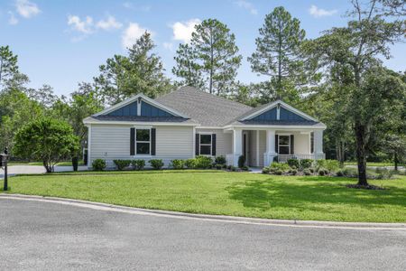 New construction Single-Family house 86185 Living Waters Run, Yulee, FL 32097 null- photo 0 0