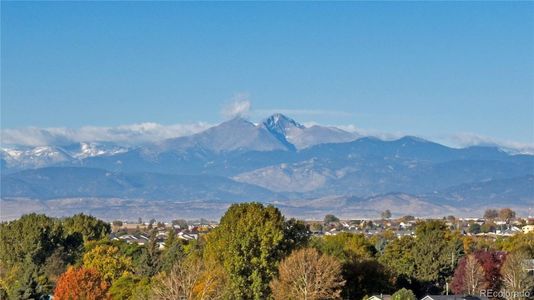 New construction Single-Family house 402 Hummingbird Ln, Johnstown, CO 80534 CHATHAM- photo 33 33