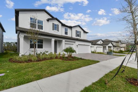 New construction Single-Family house 7819 Notched Pine Bnd, Wesley Chapel, FL 33545 Windsor- photo 152 152