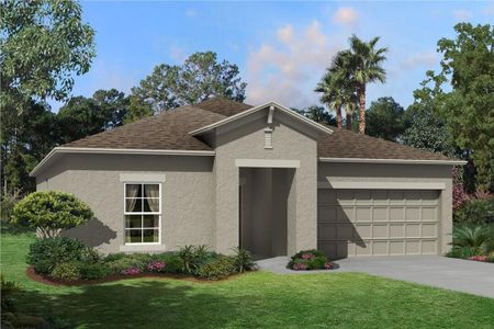 New construction Single-Family house 31979 Sapna Chime Dr, Wesley Chapel, FL 33543 null- photo 2 2