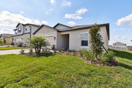 New construction Single-Family house 12227 Hilltop Farms Dr, Dade City, FL 33525 Sentinel- photo 156 156