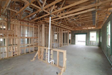 New construction Single-Family house 38413 Tobiano Loop, Dade City, FL 33525 Picasso- photo 23 23