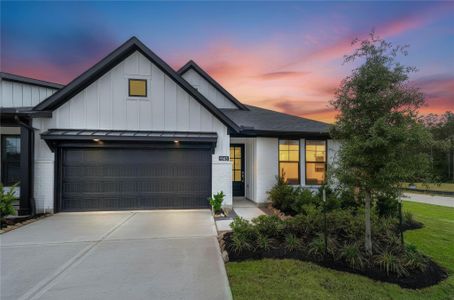 New construction Townhouse house 9143 Petroglyph Point Ct, Porter, TX 77365 - image
