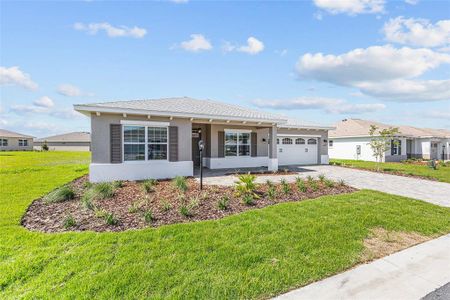 New construction Single-Family house 10977 Sw 101St Lp, Ocala, FL 34481 null- photo 4 4