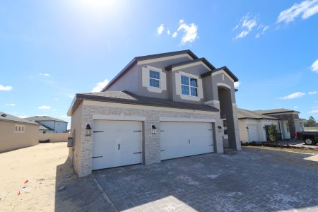 New construction Single-Family house 2350 Clary Sage Dr, Spring Hill, FL 34609 Sonoma II- photo 87 87