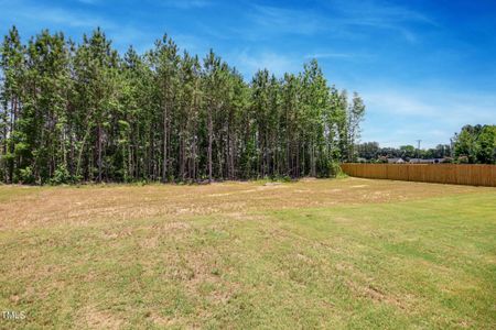 New construction Single-Family house 36 Batten Hill Lane, Selma, NC 27576 - photo 29 29