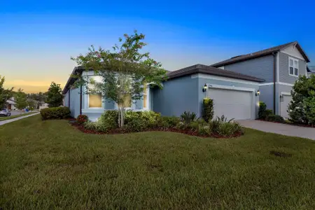 New construction Single-Family house 3791 Almond Brook Blvd, Land O' Lakes, FL 34638 - image