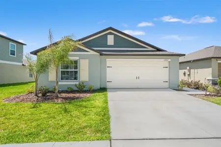 New construction Single-Family house 13213 Peachleaf Ave, Riverview, FL 33579 - image
