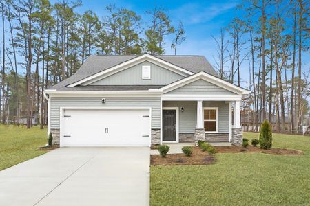 New construction Single-Family house 2741 Old Buies Creek Rd, Angier, NC 27501 null- photo 0
