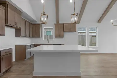 New construction Single-Family house 10411 Melida Dawn Wy, Richmond, TX 77406 plan The Haven X - image 4