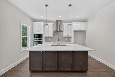New construction Single-Family house 113 Southview Dr, Ellenwood, GA 30294 - image 13