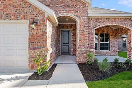 New construction Single-Family house 916 Eloise Ln, Cleburne, TX 76033 Concept 1849- photo 19 19