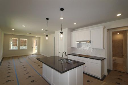 New construction Single-Family house 407 Holly Rd, Oak Point, TX 75068 Sonata- photo 3 3